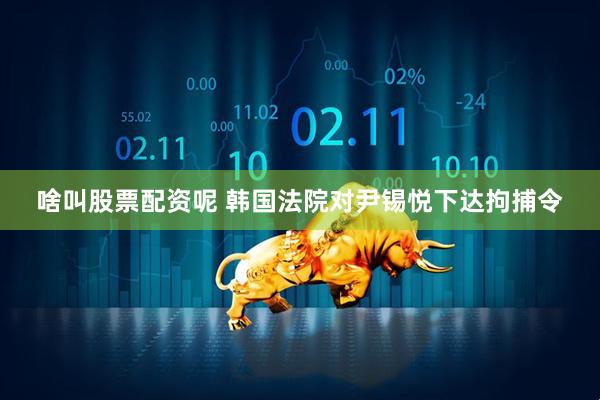 啥叫股票配资呢 韩国法院对尹锡悦下达拘捕令