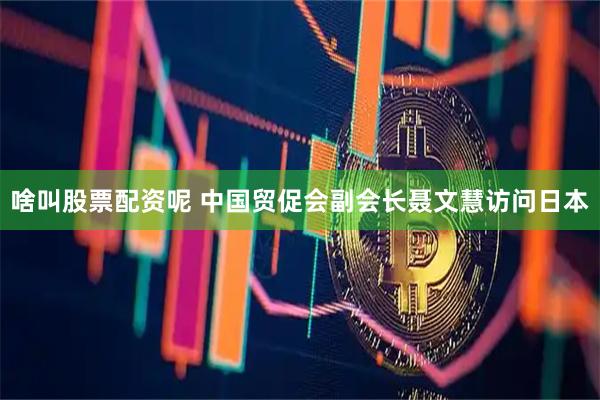 啥叫股票配资呢 中国贸促会副会长聂文慧访问日本