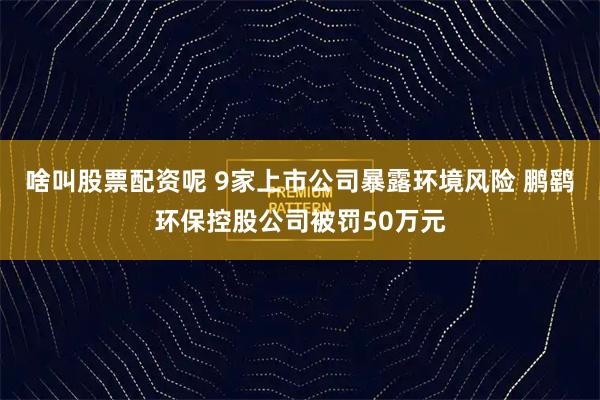 啥叫股票配资呢 9家上市公司暴露环境风险 鹏鹞环保控股公司被罚50万元